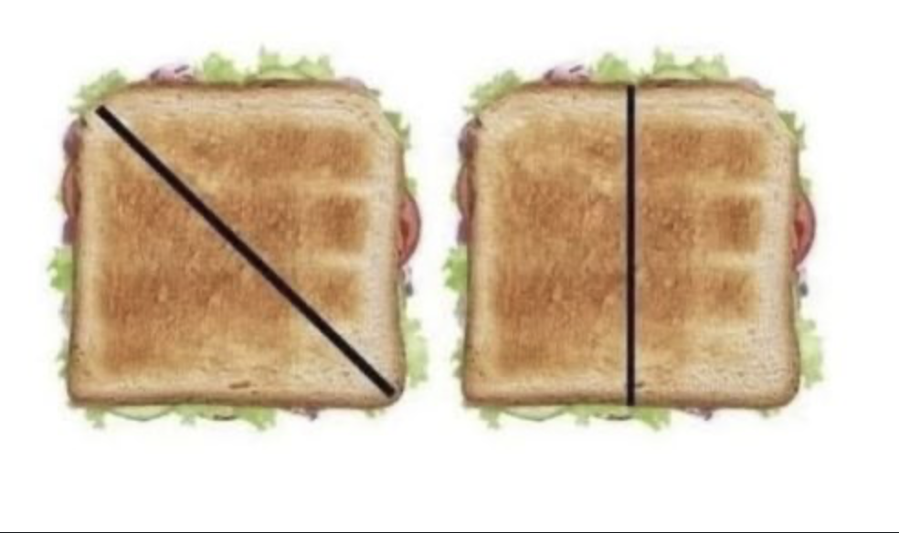 Cerebro y mentoring directivo